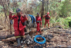 Gawat! Sempat Nyaris Lahap Kebun Sagu, Karhutla Bengkalis Akhirnya Padam Total Setelah Sepekan Mencekam