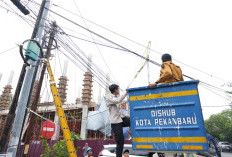 Pemko Pekanbaru Bersih-bersih, Jalan Tertata Lebih Rapi Bebas dari Kabel Semrawut