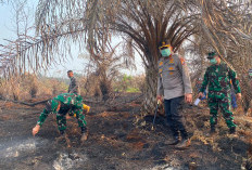 Siak Siaga Karhutla: Kapolda dan Pangdam Turun Gunung Cek Pemadaman Lahan