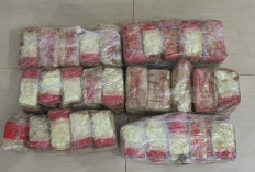 Polda Riau Gagalkan Peredaran 30 Kg Sabu Jaringan Internasional di Gerbang Tol Permai