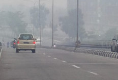 Dampak Kabut Asap Kiriman, Jarak Pandang di Pekanbaru Menyusut Jadi 1,4 Kilometer Gegara Karhutla