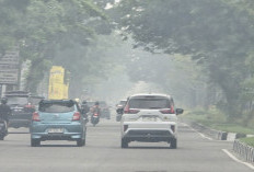 Kabut Asap Kepung Pekanbaru: Udara Berbahaya, Anak-anak Jatuh Sakit