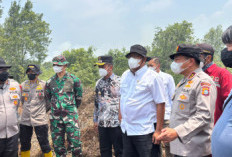 Kebakaran Hutan Riau: Menteri LH dan Kapolda Tinjau Lokasi Karhutla di Kampar