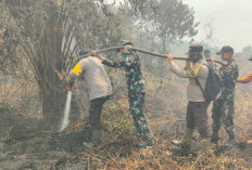 Kebakaran Lahan Gambut Bengkalis Hanguskan 11 Hektare, Petugas Kerahkan Helikopter